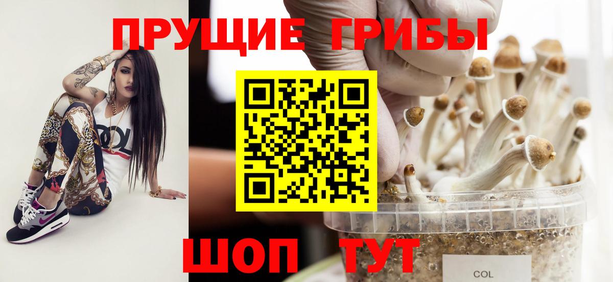 купить наркотики цена  Галлюциногенные грибы Psilocybe  Вход с VPN  Псилоцибиновые грибы Psilocybe  Великие Луки 